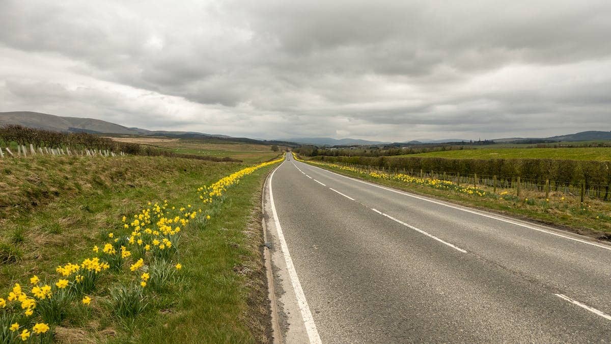 route panoramique